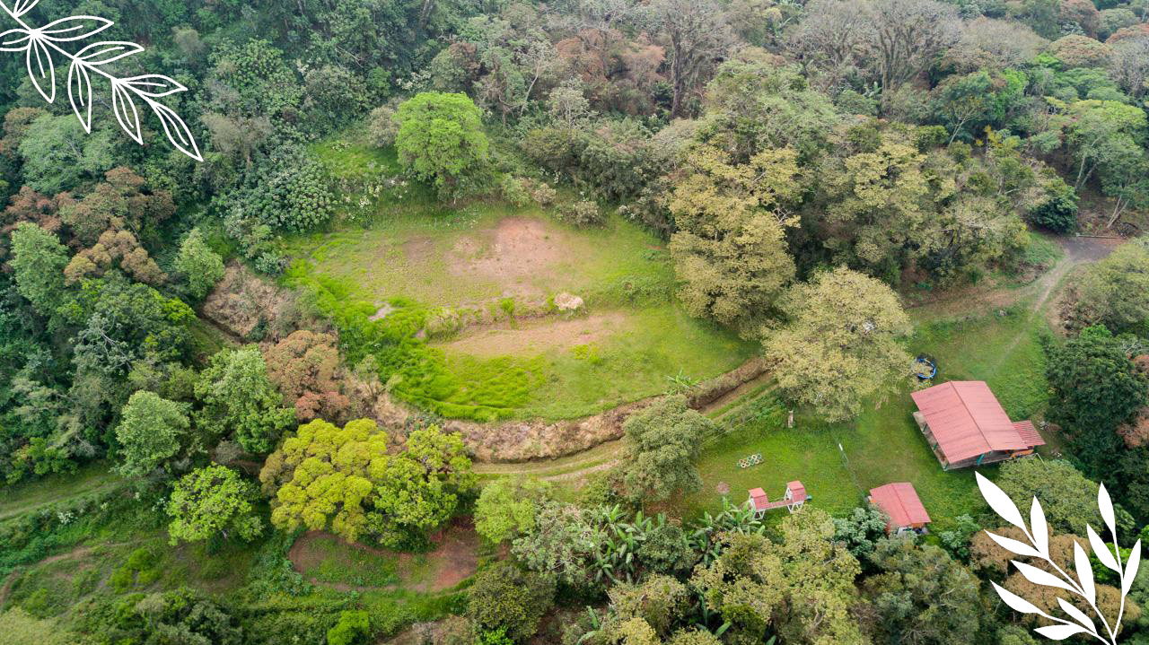 83e14db4-fb96-4cfa-a0f8-183c39a26a71 copia